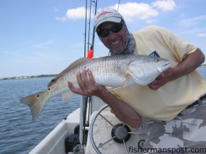 Lee Padrick with a 33.5" red drum he hooked while sight casting a rootbeer/chartreuse paddletail near Morehead City.