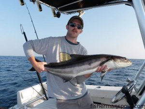 Andrew Neighbarger, from Ohio, with a nice cobia caught while fishing at Christmas Rock with Captain Jim Sabella of Plan 9 Fishing Charters out of Topsail Beach. The fish fell for a dead cigar minnow on a Hank Brown rig with a pink Bluewater Candy Bling skirt.