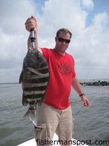 Michael Turnmeyer with a 9.5 lb. sheepshead he hooked on a live shrimp pinned to a 1/4 oz. Mission Fishin' jighead at the Little River Jetties. He was fishing with Capt. Mark Dickson of Shallow Minded Inshore Fishing out of Little River.