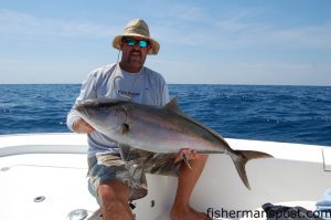 Capt. Charles Brown (or the Man in the Straw Hat), of Old Core Sound Guide Service, with a 40  lb. amberjack that fell for a live pogy around a wreck in 60' off the beach at Cape Lookout. 