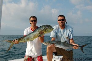 Gary Hurley and Max Gaspeny with the results of a double hookup at an artificial reef just off the Lookout Shoals. The dolphin and king fell for live pogies moments after the baits had hit the water. 