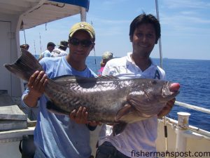 Luciano Chavez, of Greenville, NC, hooked this 39.4 lb. gag grouper while bottom fishing 42 miles off Beaufort Inlet on the headboat "Carolina Princess."