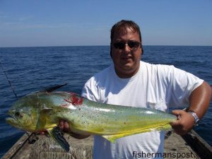 Chris Schwartz with a dolphin he hooked at 10 Mile Rock on a live, naked pogy. He was fishing with Jason Parker.