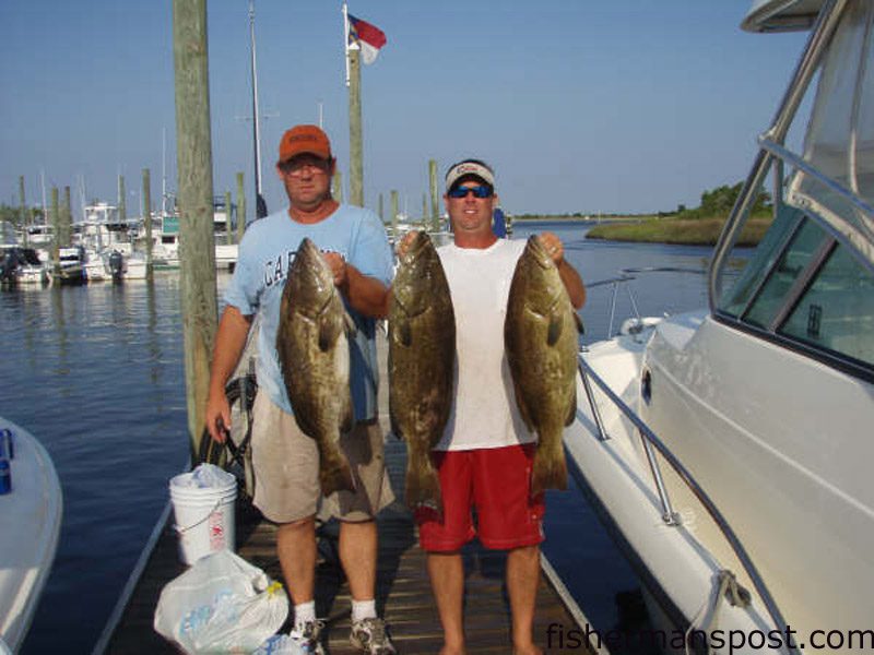 Tim Coy and Capt. Brad Phillips, of Fish Spanker Charters out of Carolina Beach, with a trio of gag grouper (the smallest 16.5 lbs) they hooked near Frying Pan Tower on cigar minnows and cut baits.