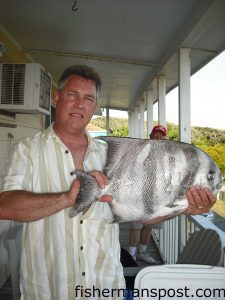 Joe Ladd, from Concord, NC, with a 7.7 lb. spadefish that he hooked while surf fishing just west of Oak Island Pier. The fat spade fell for a chunk of deer meat.