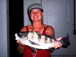 Patsy C. Moss, of Denver, NC, with a black drum she hooked while surf fishing at Holden Beach with shrimp.