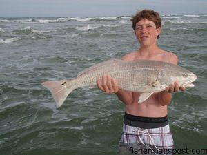 Will Schoolfield, a rising sophomore at Laney High School, with a 33" red drum he hooked on a Carolina rig while fishing a sandbar in Topsail Inlet.