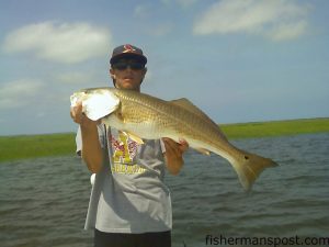 Christian Wolfe with a 34" red drum he hooked along a grass bank in the lower Cape Fear River on a Redfish Magic glass minnow soft plastic.