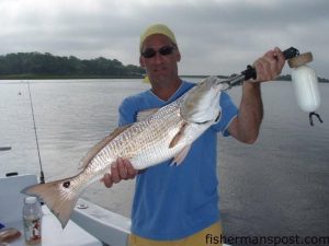 John Kelly, from New York, NY, with a red drum he hooked and released near the Little River Crossroads on a chunk of blue crab. He was fishing with Capt. Patrick Kelly of Capt. Smiley's Fishing Charters out of Little River.