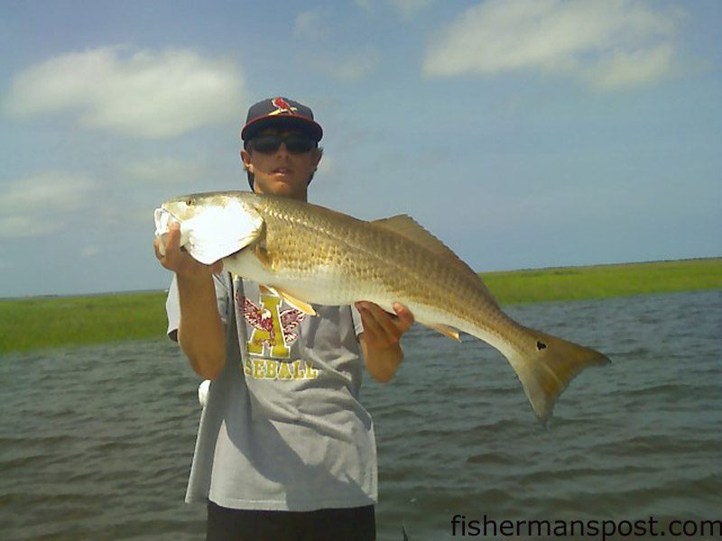 Christian Wolfe with a 34″ red drum he hooked along a grass bank in the lower Cape Fear River on a Redfish Magic glass minnow soft plastic.