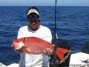Todd Helf with a 6 lb., 9 oz. vermillion snapper (1 oz. off the SC state record and possibly a pending NC state record) he hooked on a cut bait while fishing in 165' of water out of Ocean Isle.