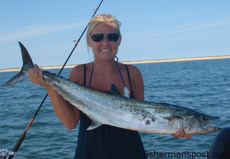 Amanda Jones with a king mackerel she hooked in Barden's Inlet on a live pogy.