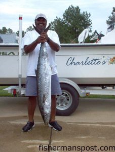 Eddie Perry, of Raleigh, with a 50.16 lb. king mackerel that fell for a large live greenie under a cotton candy Blue Water Candy skirt. He was fishing near the weather buoy off New River Inlet with Russ Becker on the 21' skiff "Charlette's Web."