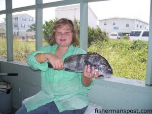 Ian Hetzel, of Raleigh, with a 4 lb., 20" black drum that fell for a live shrimp at some inshore structure near Southport. Hetzel was fishing with his father and grandfather.