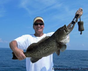 Brian Grier, of Kansas City, MO, with a gag grouper that fell for a cigar minnow at some bottom structure 7 miles off New Topsail Inlet. He was fishing with Capt. Mike Pedersen of No Excuses Charters.