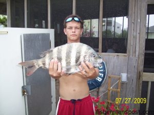 Wayne Vaughan, of Raleigh, with a 5.05 lb. sheepshead he hooked on a sand flea from Surf City Pier.