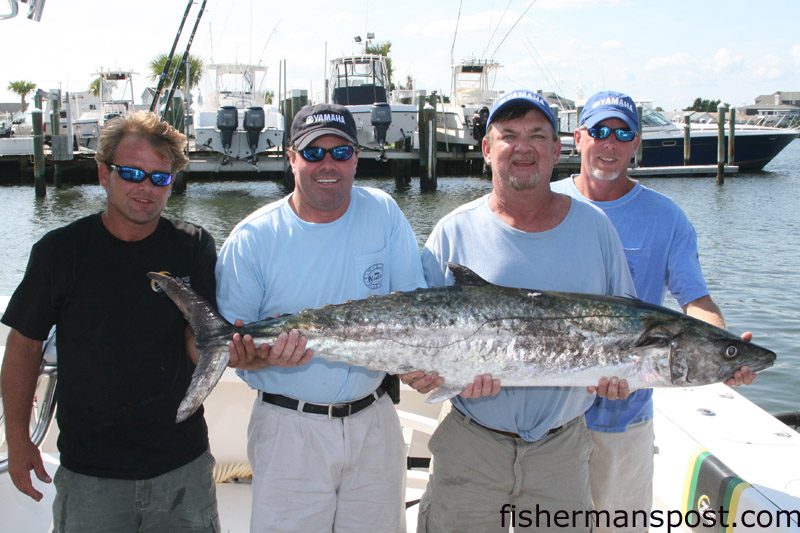 Carolina Beach's "Zebra" Fishing Team took first place in the Atlantic Beach Saltwater Classic with this 47.98 lb. king mackerel. The mega-king fell for a double pogy rig just off the beach at North Topsail and earned the anglers over $32,000.
