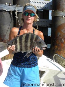 Susan Chapman, of Pine Knoll Shores, with her first sheepshead. The fish fell for a sea urchin at some inshore structure near Morehead City.