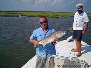 Jon Wood, from Morehead City, with a 31" red drum that fell for a topwater plug in the marsh near Swansboro while he was fishing with Lane Hurst and Phillip Moran.