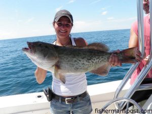 Danielle Anderson, of Rochester, NY, with a 14 lb. gag grouper she hooked on a squid strip at a ledge 15 miles off Topsail while fishing with Capt. Jim Sabella of Plan 9 Fishing Charters.