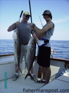 Martin and Mark Shaw, from Greenville, NC, with a pair of amberjacks tthey hooked on live pogies near the Navy Wreck.