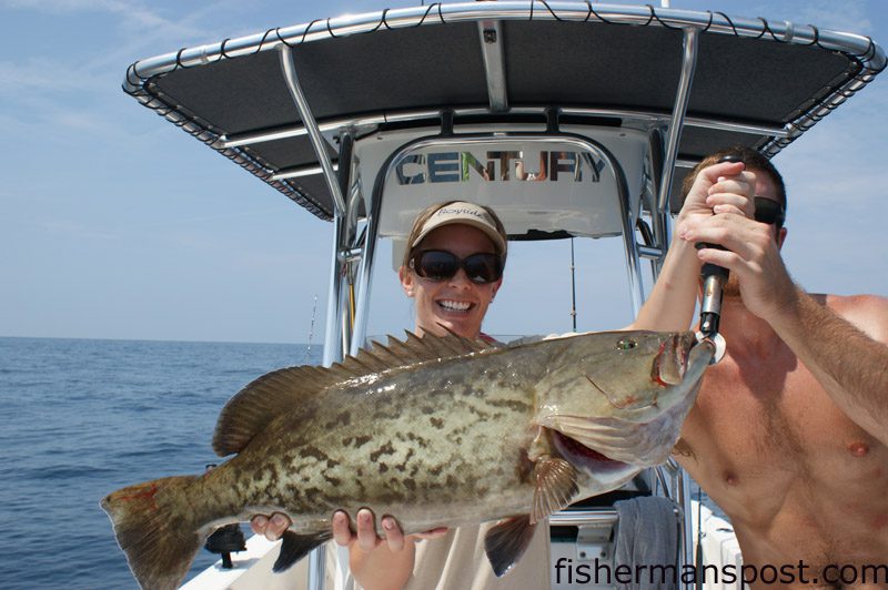 Heather Kellum, of Raleigh, hooked this 18 lb. gag grouper at a live bottom in 70' of water off Bogue Inlet. The gag fell for a live pogy while she was fishing with Capt. Chesson O'Briant of CXC Charters.