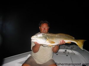 John Lewis, of Wilmington, with a citation red drum he hooked on a chunk of mullet in the Pamlico Sound at night while fishing with Capt. Charles Brown of Old Core Sound Guide Service.