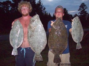 Vance Harrington and Nathan Lingerfelt, of Feedin' Frenzy Charters, with flounder (the largest 7 lbs., 12 oz.) they hooked near Carolina Beach on live finger mullet.
