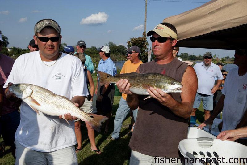 Brad Buck and Mark Dudley, of New Bern, with a pair of red drum that made up part of their 32.75 lb. aggregate weight that took first place in the 6th Annual Neuse River Backwater Open. They landed the reds on 4" Gulp pogies while casting to the shorelines.