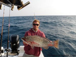 Seth Berkabile, of Wrightsville Beach, with a 31" gag grouper he hooked on a live pogy at some bottom structure in 70' of water 15 miles off Topsail Beach. He was fishing with Capt. Jim Sabella of Plan 9 Fishing Charters.