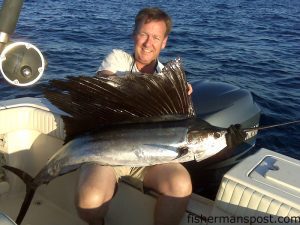 Mike Davis with a healthy sailfish that fell for a double pogy rig near the Liberty Ship while he was fishing with Mark Blake. The fish was released after the photo was taken.