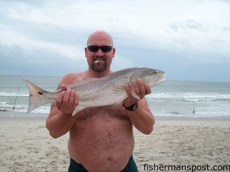 Miek Jumpe with a 29" red drum he caught and released in the Oak Island surf on a live finger mullet.