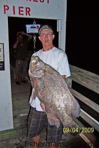 Thomas Cutler (age 17), of Oak Island, with a 27.7 lb. tripletail (a pending state record for the species) he hooked off of Ocean Crest Pier on a strip of flounder belly.