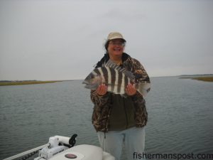Dana McCabe, from Ocean City, MD, with a sheepshead caught in the Swansboro area while fishing with Capt. Mike Taylor of Taylor Made Charters.
