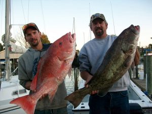 Timmy Alligood, of Rolesville, NC, and Capt. Stephen Alligood, of Sneads Ferry, with a 19 lb., 10 oz. American red snapper and a 22 lb., 9 oz. gag grouper they hooked 34 miles off New River Inlet on live pogies. Weighed in at East Coast Sports.