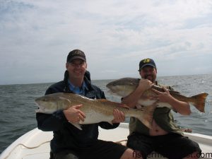 Dallas Spruill, of Wake Forest, and Scott Wood, of Charlotte, with a pair of citation-class red drum they hooked just off Bald Head Island on live pogies and released immediately after the photo.