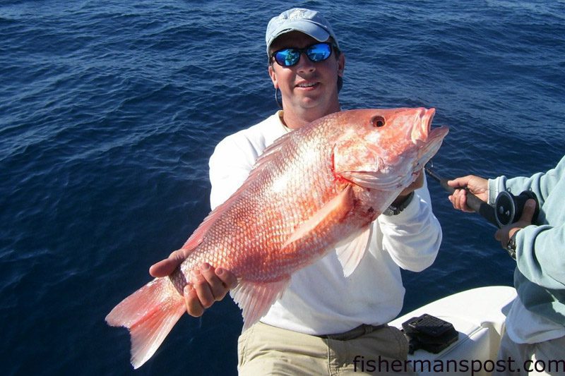 Robert Hughes, of Sunset Beach, with an American red snapper that fell for a live cigar minnow in 180' of water off Ocean Isle while he was fishing with Todd Helf aboard the "Almost There."
