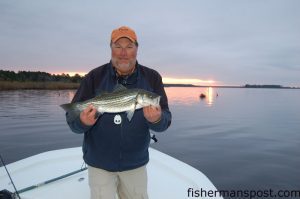 Capt. Gary Dubiel, of Spec Fever Guide Service, with a New Bern area striper caught just after dawn near Broad Creek on a topwater.