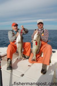 John (left) and Barry Bobbitt, the father and son team that respresented "experience" on the product review fishing trip, with a couple of gag grouper caught 12 miles out on the new Squid Decoy system by Barefoot Fishing. John's gag fell for a live cigar minnow, and Barry's hit a grass grunt.