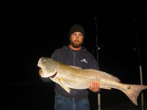 Andy Williams, of Cape Carteret, NC, with a 37" red drum he hooked on a cut bait in the surf near the middle of Ocracoke Island.