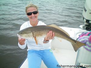 Stacy Lamb, from Atlantic Beach, with her first topwater red drum, a 30" fish she hooked in the marsh near Morehead City. She was fishing with her husband, Capt. Matt Lamb, of Chasin' Tails Outdoors.