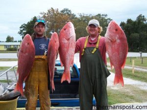 Derek GiPaolo and Tony May with American red snappers they hooked on cigar minnows while bottom fishing off Morehead City near the Big Rock on the "F/V Atlantic Runner."