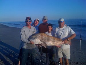 Chase Stanci (age 11), from Kenly, NC, with a 62 lb. black drum he landed after a 40 minute fight on sea mullet tackle and a shrimp bait. Weighed in at Island Harbor Marina.