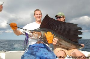 Dr. Michael Durako and Corey Durako with a sailfish Michael caught and released near the Same Ol' on a black/purple trolling lure while fishing on the "Beagle."