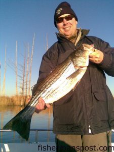 Kevin Bloome, of Wilmington, with one of many striped bass he hooked on soft plastics in the Cape Fear River while pre-fishing for the Cape Fear Riverwatch Striper Tournament with Capt. Jamie Rushing of Seagate Charters.