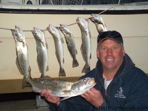 Richard Raymond, of Wilmington, with a catch of speckled trout he hooked on a red/white MirrOlure in Carolina Beach Inlet.