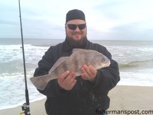 Jason Sutton, of Wilmington, with a 20" black drum he hooked on shrimp in the Fort Fisher surf.