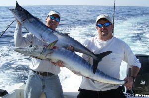 Robert Hughes and Todd Helf, of Sunset Beach, with the results of a double header wahoo bite. The 'hoos bit Yo-Zuri and Mega-Bait trolling plugs near the Blackjack Hole.