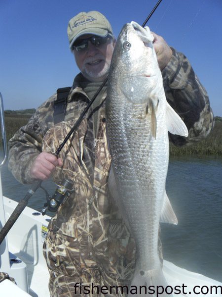 Mark Satchell, of Raleigh, with a 10.5 lb. red drum he hooked on a 3″ Gulp Minnow  while he was casting to a shelly channel edge in the backwaters near Swansboro. He was fishing with Capt. Jeff Cronk of FishN4Life Charters.