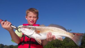 Jacob Barefoot (age 10), of Johnston County, with a slot red drum that bit a gold spoon in the New River near Sneads Ferry while he was fishing with Capt. Allen Jernigan of Breadman Ventures.